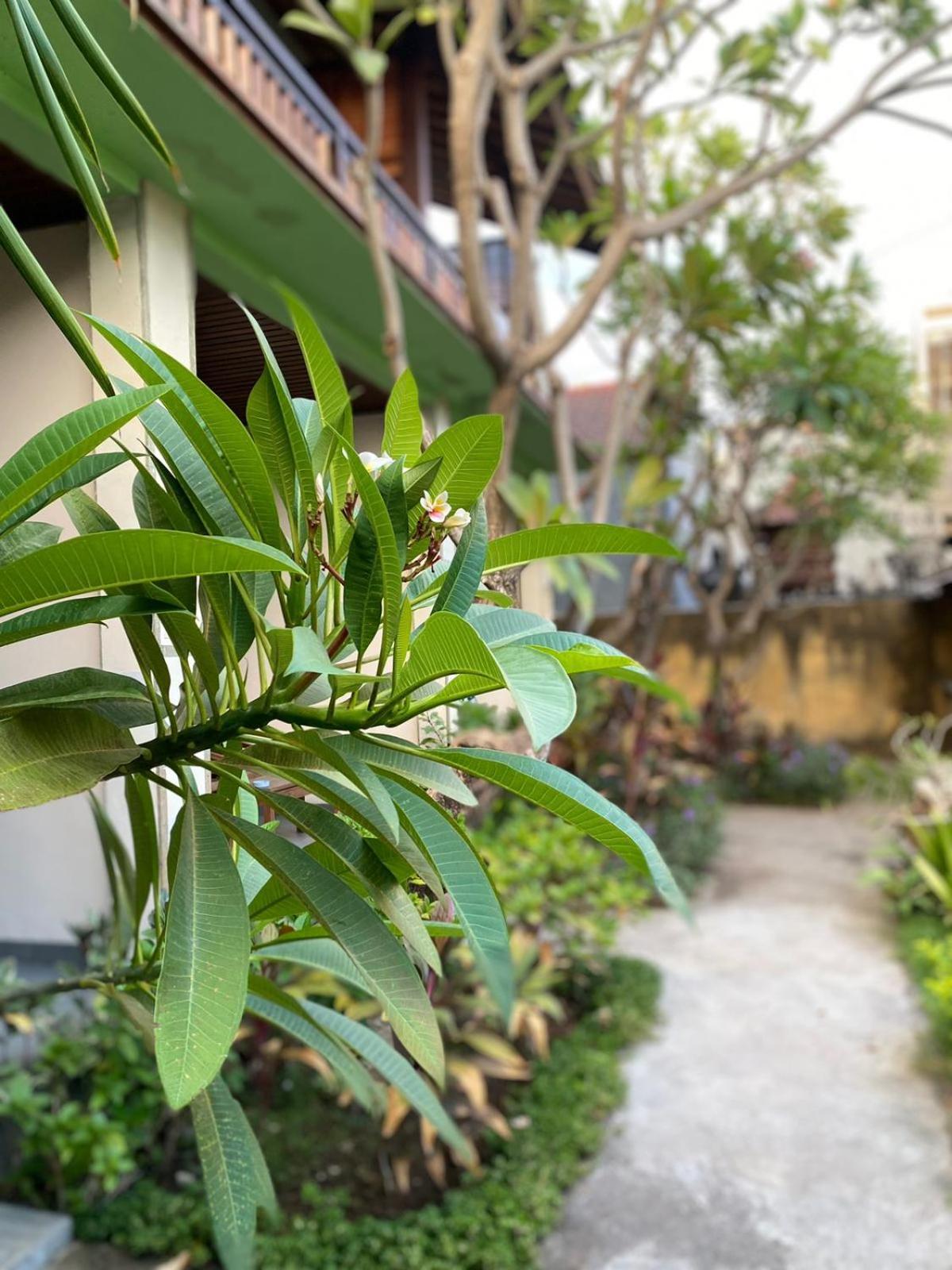 Putra'Lebah Amed Guest House Buitenkant foto
